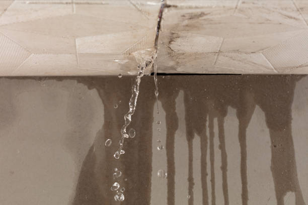 Professional Structural Drying technician working in Monterey, TN